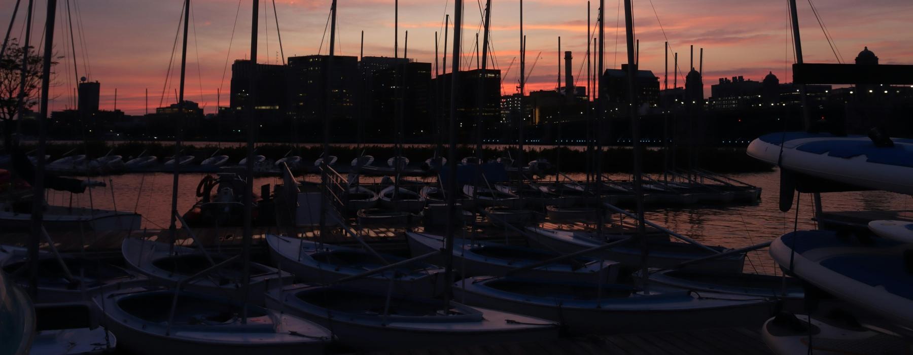 a marina with many boats